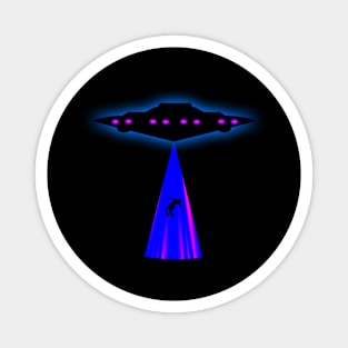 UFO Abduction Colors Magnet